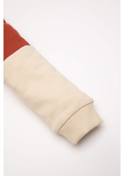 Erkek Bebek Bisiklet Yaka Renk Bloklu İçi Yumuşak Tüylü Sweatshirt D6230A5NS