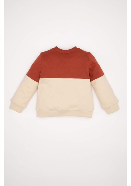 Erkek Bebek Bisiklet Yaka Renk Bloklu İçi Yumuşak Tüylü Sweatshirt D6230A5NS