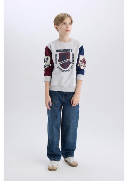 Erkek Çocuk Harry Potter Bisiklet Yaka Sweatshirt D4258A8NS