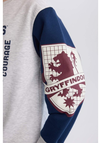 Erkek Çocuk Harry Potter Bisiklet Yaka Sweatshirt D4258A8NS