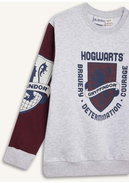 Erkek Çocuk Harry Potter Bisiklet Yaka Sweatshirt D4258A8NS
