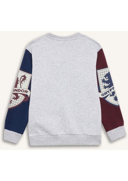 Erkek Çocuk Harry Potter Bisiklet Yaka Sweatshirt D4258A8NS