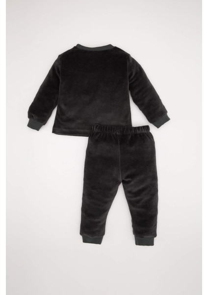 Erkek Bebek Pijama Takım Penguen Desenli Velur Uzun Kollu Üst Beli Lastikli Uzun Alt D5358A524WN