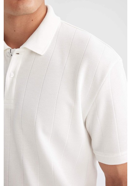 New Regular Fit Polo Yaka Kısa Kollu Siyah Tişört D5996AX24SM