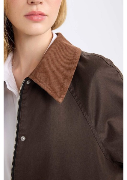 Regular Kalıp İnce Mumlu Kadife Ceket Mont Polo Yaka Çıtçıtlı Cepli Mevsimlik D5766AX24WN