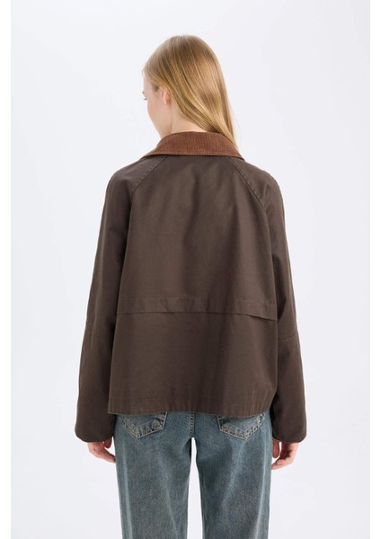 Regular Kalıp İnce Mumlu Kadife Ceket Mont Polo Yaka Çıtçıtlı Cepli Mevsimlik D5766AX24WN