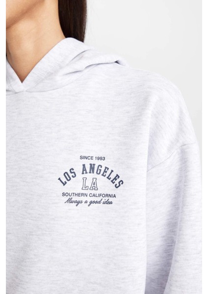 Regular Fit Kapüşonlu Baskılı Kalın Sweatshirt D6720AX24WN