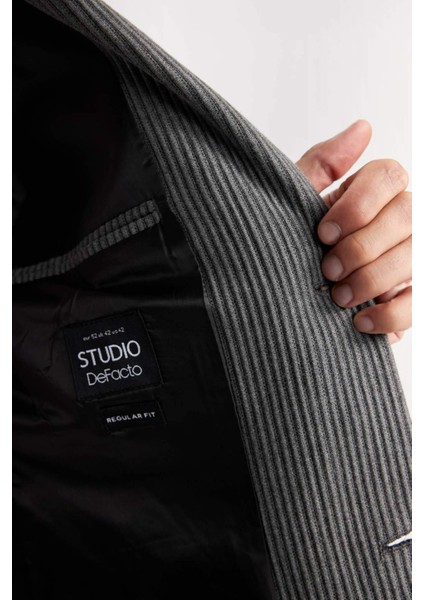 Ceket Yaka Düğmeli Blazer Ceket D6093AX24AU