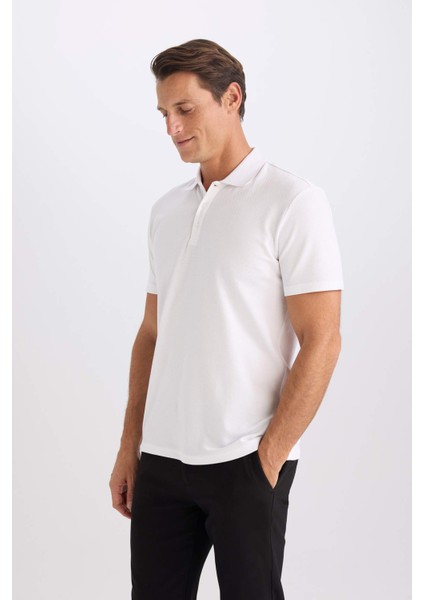 Slim Fit Dar Kesim Polo Yaka Kısa Kollu Pamuklu Basic Düz Tişört M6609AZ25SP