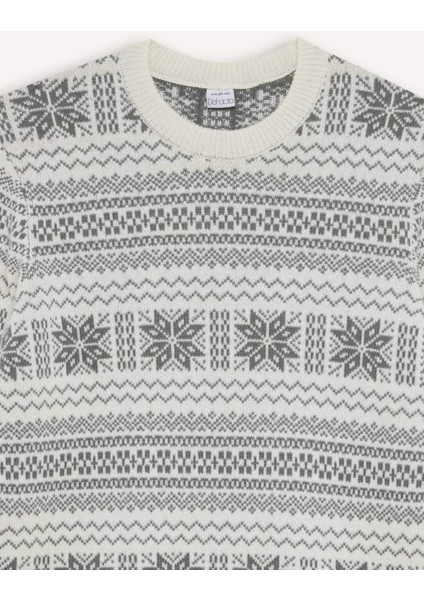 Standart Fit Yılbaşı Temalı Bisiklet Yaka Triko Kazak D6839AX24WN