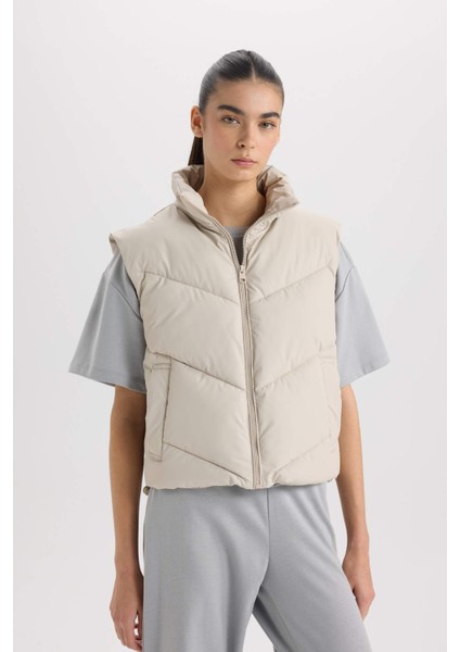 Regular Fit Dik Yaka Kapitoneli Fermuarlı Cepli Şişme Yelek D5759AX25SP