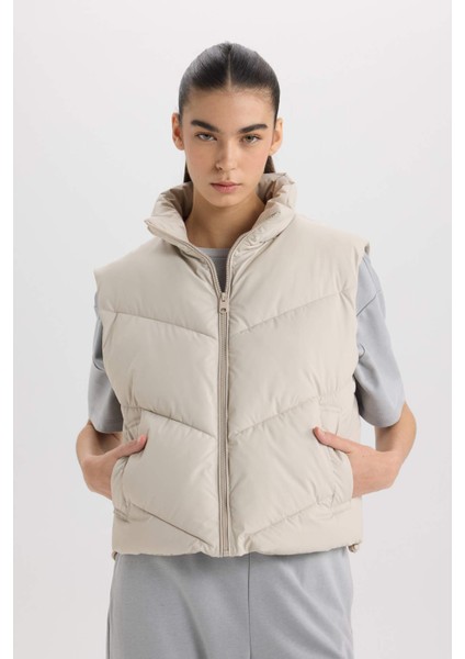 Regular Fit Dik Yaka Kapitoneli Fermuarlı Cepli Şişme Yelek D5759AX25SP
