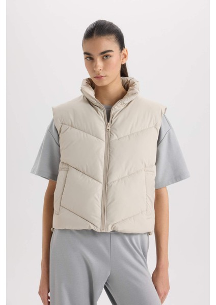Regular Fit Dik Yaka Kapitoneli Fermuarlı Cepli Şişme Yelek D5759AX25SP