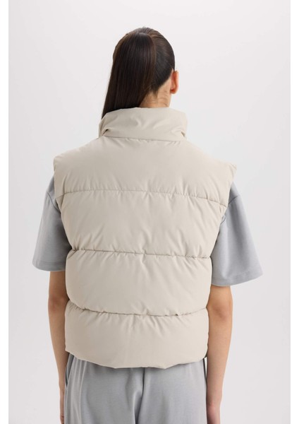 Regular Fit Dik Yaka Kapitoneli Fermuarlı Cepli Şişme Yelek D5759AX25SP