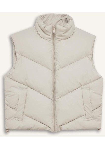 Regular Fit Dik Yaka Kapitoneli Fermuarlı Cepli Şişme Yelek D5759AX25SP
