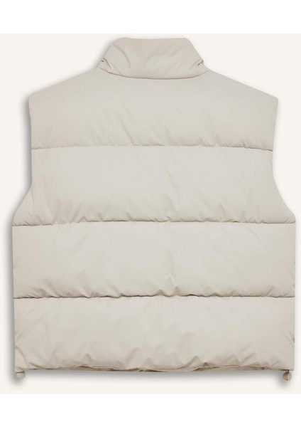 Regular Fit Dik Yaka Kapitoneli Fermuarlı Cepli Şişme Yelek D5759AX25SP