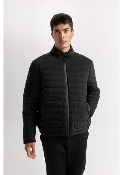 Sim Fit Dar Kesim Dik Yaka Astarlı Fermuarlı Cepli Kışlık Mont D7497AX25SP