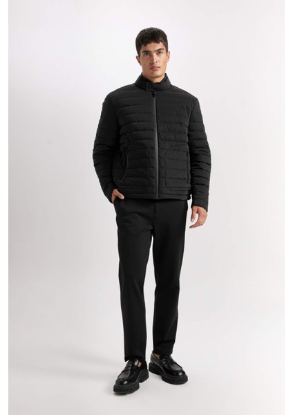 Sim Fit Dar Kesim Dik Yaka Astarlı Fermuarlı Cepli Kışlık Mont D7497AX25SP