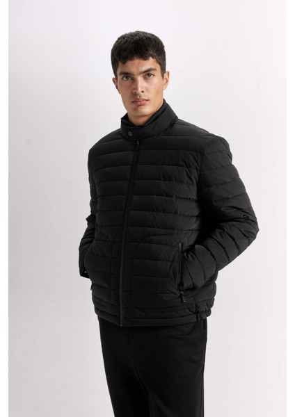 Sim Fit Dar Kesim Dik Yaka Astarlı Fermuarlı Cepli Kışlık Mont D7497AX25SP