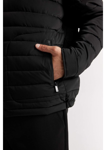 Sim Fit Dar Kesim Dik Yaka Astarlı Fermuarlı Cepli Kışlık Mont D7497AX25SP