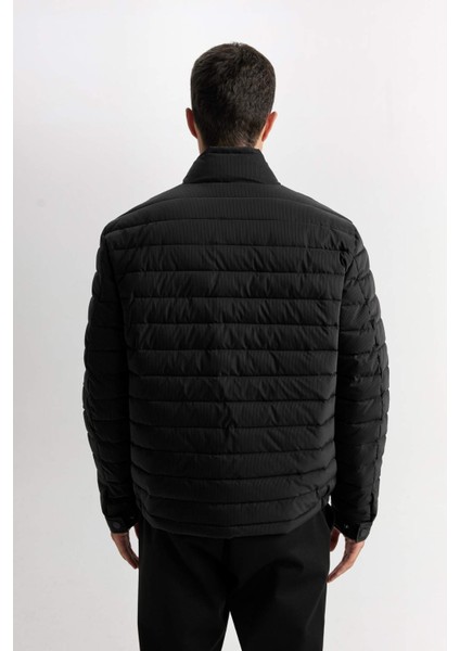 Sim Fit Dar Kesim Dik Yaka Astarlı Fermuarlı Cepli Kışlık Mont D7497AX25SP