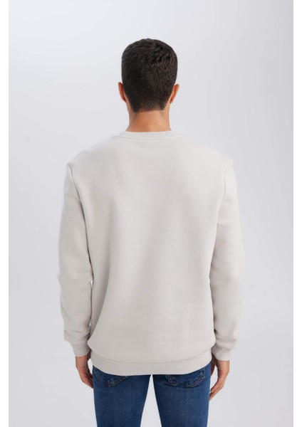 3 İplik Pamuklu Şardonlu İçi Polarlı Regular Fit Bisiklet Yaka Kalın Sweatshirt D7876AXNS