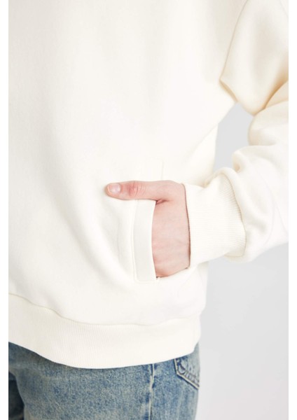Oversize Geniş Kalıp Fermuarlı Dik Yaka Cepli Basic Düz Kalın Sweatshirt D7206AX24WN