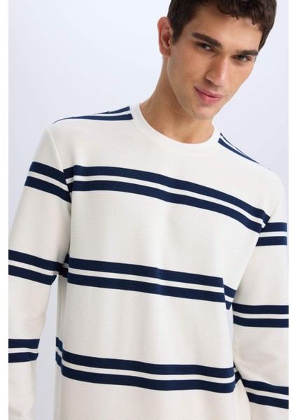 Regular Fit Bisiklet Yaka Dokulu Sweatshirt D7595AX25SP