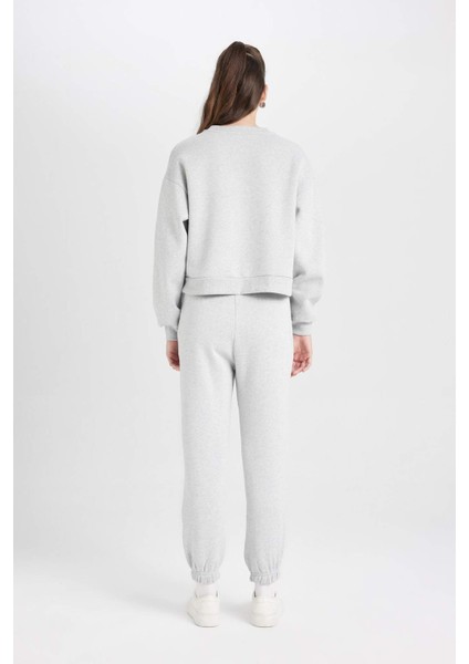 Regular Fit Normal Kalıp Basic Düz İçi Kalın Polarlı Eşofman Takımı D8022AXNS