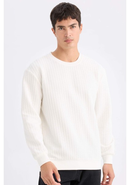 Regular Fit Bisiklet Yaka Jakarlı Sweatshirt D5391AX24AU