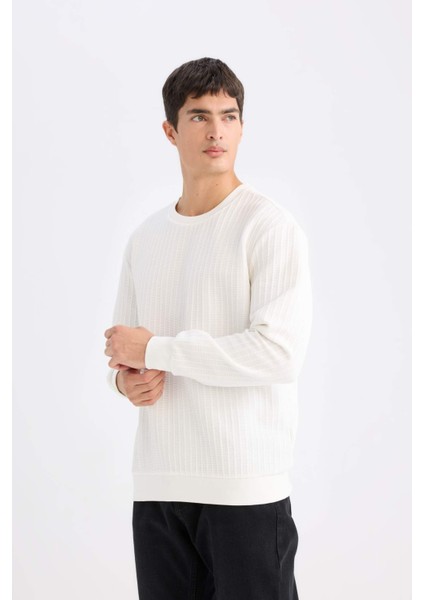 Regular Fit Bisiklet Yaka Jakarlı Sweatshirt D5391AX24AU