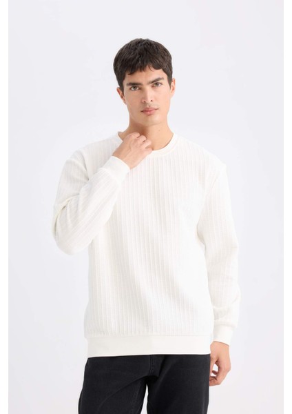 Regular Fit Bisiklet Yaka Jakarlı Sweatshirt D5391AX24AU