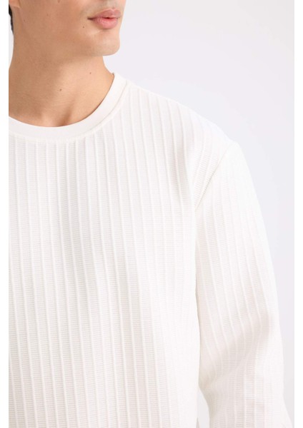 Regular Fit Bisiklet Yaka Jakarlı Sweatshirt D5391AX24AU