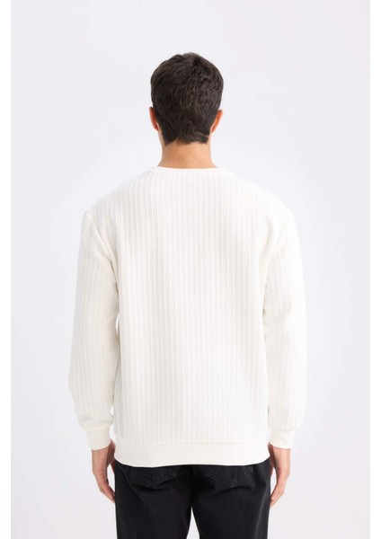 Regular Fit Bisiklet Yaka Jakarlı Sweatshirt D5391AX24AU