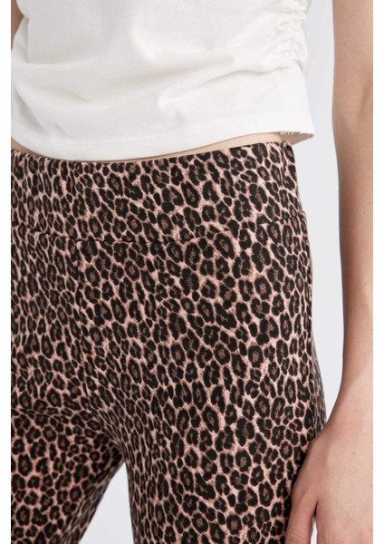 Flare Fit Leopar Desenli Düz Paça Uzun Boy Pantolon D7452AX24AU