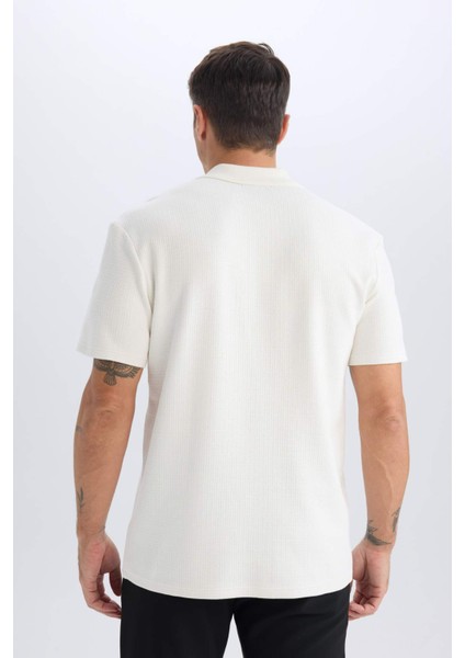 Regular Fit Polo Yaka Yarım Fermuarlı Kısa Kollu Tişört D7227AX25SP