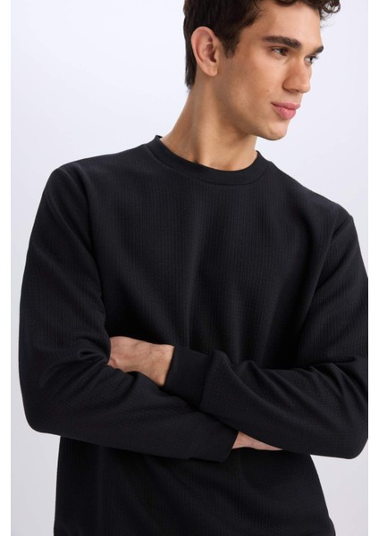 Regular Fit Bisiklet Yaka Basic Düz Sweatshirt D7231AX25SP