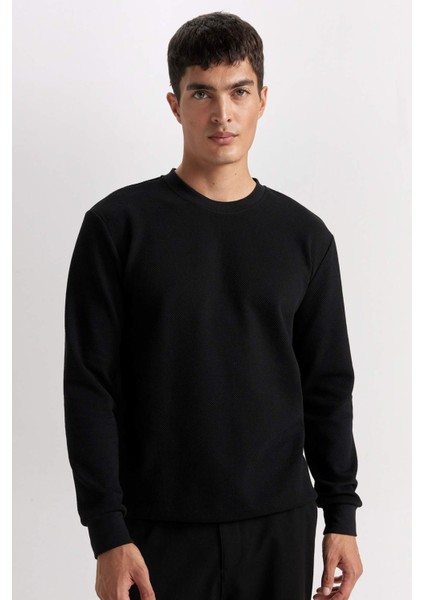 Regular Fit Bisiklet Yaka Jakarlı Sweatshirt