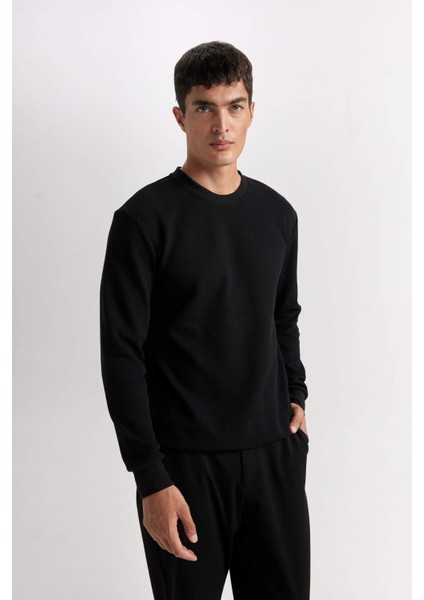 Regular Fit Bisiklet Yaka Jakarlı Sweatshirt