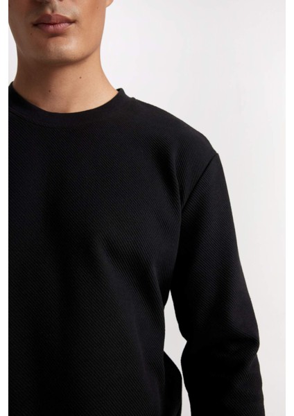 Regular Fit Bisiklet Yaka Jakarlı Sweatshirt