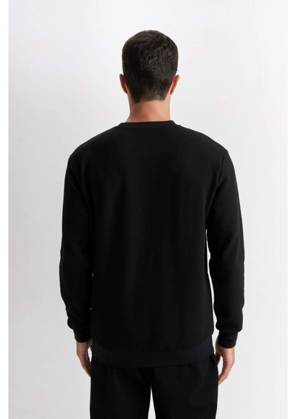 Regular Fit Bisiklet Yaka Jakarlı Sweatshirt