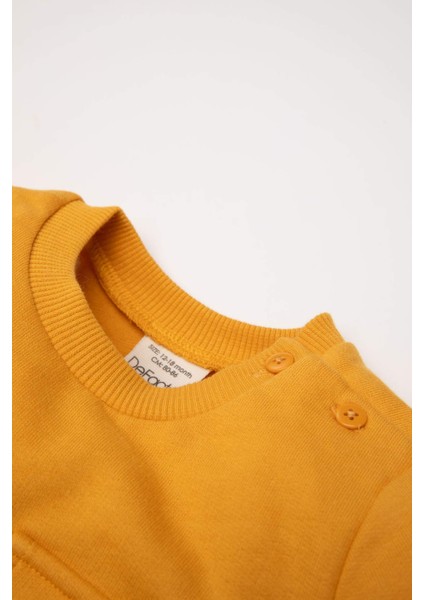 Erkek Bebek %100 Pamuk Bisiklet Yaka Renk Bloklu İçi Yumuşak Tüylü Sweatshirt A9753A524Wn