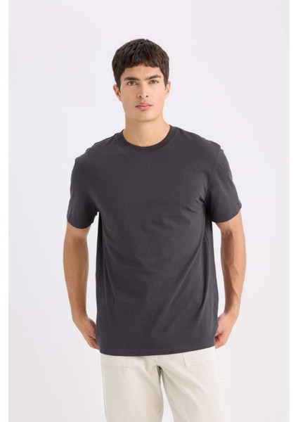 %100 Pamuk New Regular Fit Bisiklet Yaka Basic Düz Kısa Kollu Tişört V7699AZ25SP