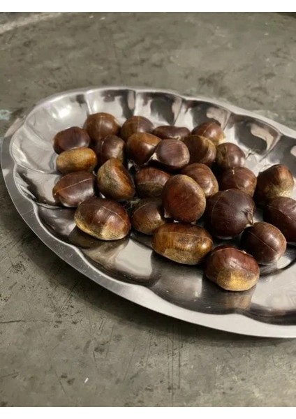 Dilimi Kayık Tabak Seti 3 Boy Salata Tabağı Kebap Tabağı Servis Tabak Meyve Tabağı 3 Boy 21 24 27 cm fiyatları