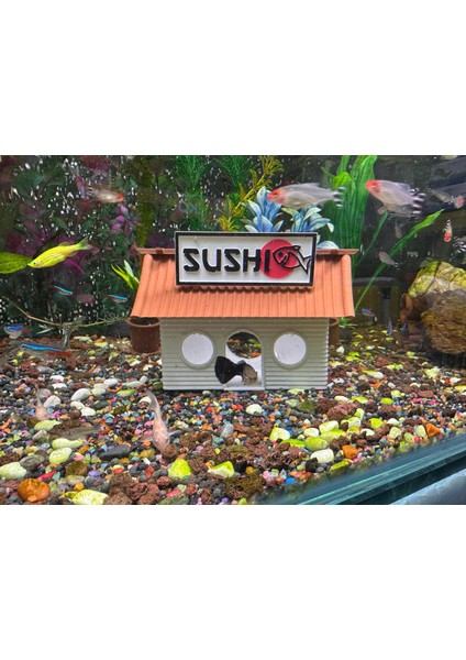 Sushi Evi Akvaryum Dekor – Balık Saklanma ve Oyun Alanı fiyatları