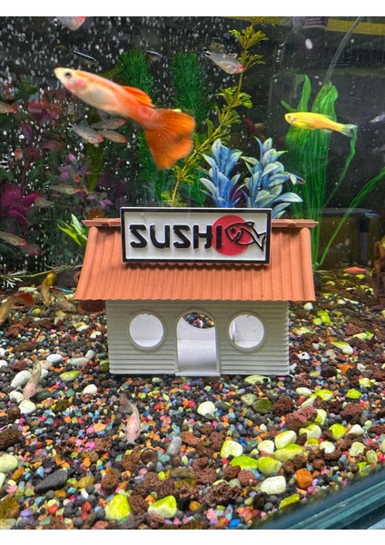 Sushi Evi Akvaryum Dekor – Balık Saklanma ve Oyun Alanı modelleri