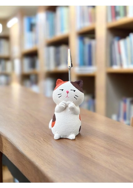 Turuncu Utangaç Kedi Fotoğraf Not Tutucu Ofis Masası Tutacak Hediyelik modelleri