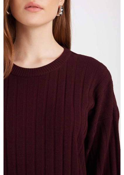 Regular Fit Bisiklet Yaka Basic Düz Uzun Kollu Triko Elbise D7510AX24WN