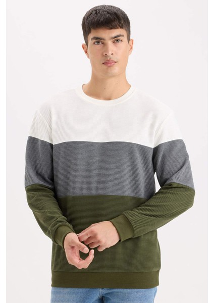 Regular Fit Bisiklet Yaka Renk Bloklu Jakarlı Sweatshirt D5393AX24AU