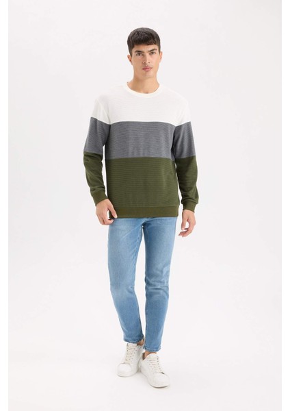 Regular Fit Bisiklet Yaka Renk Bloklu Jakarlı Sweatshirt D5393AX24AU